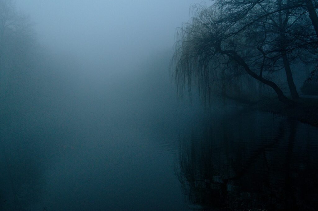 The fog 4909513 1280