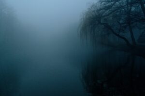 The fog 4909513 1280