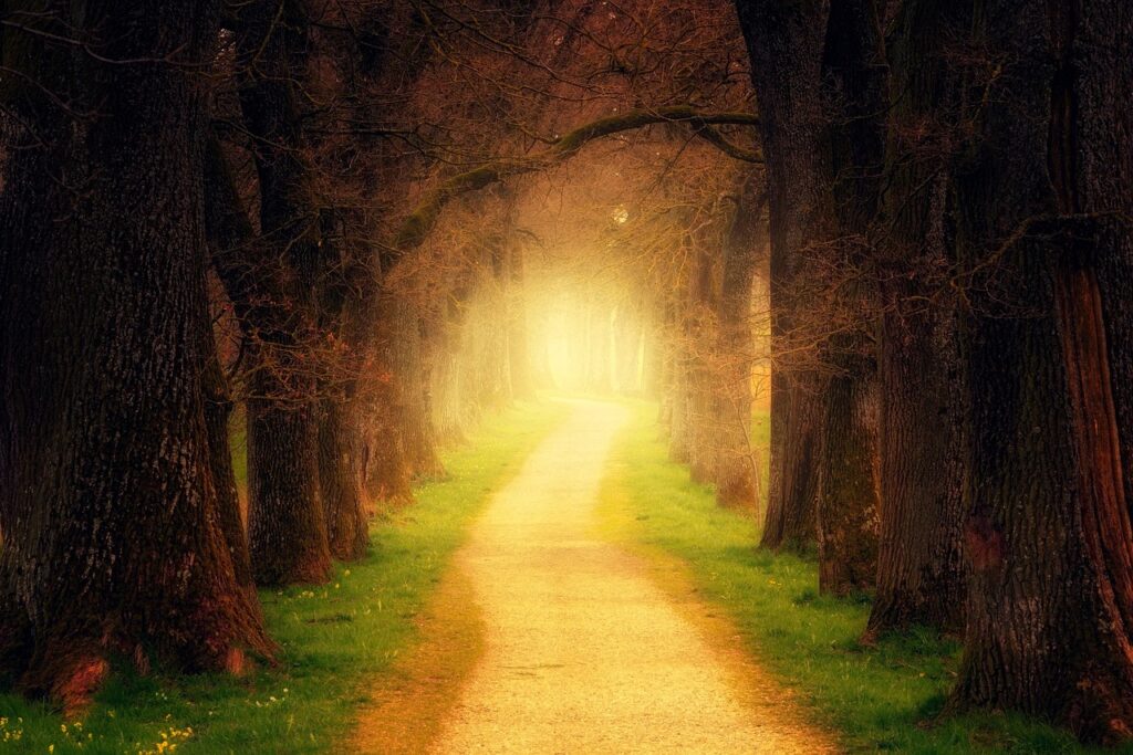 What is Radical Self-Acceptance?
